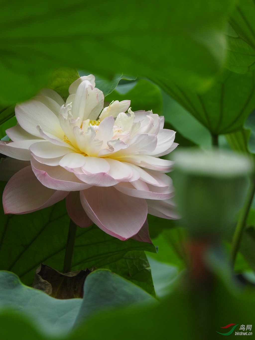 DSCN9847_����.jpg