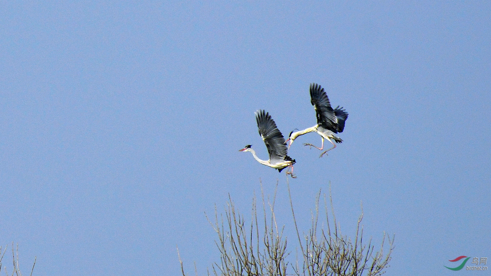 DSC_9017.JPG