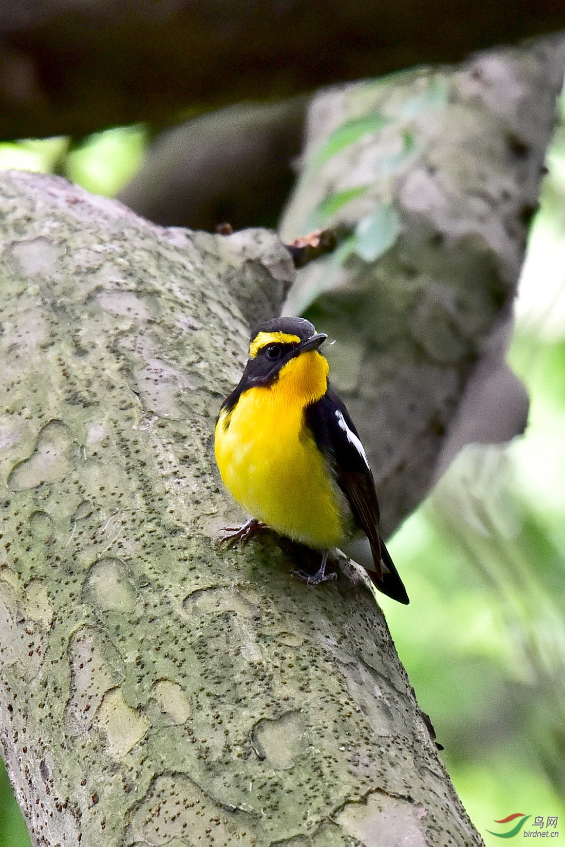 DSC_0538.JPG