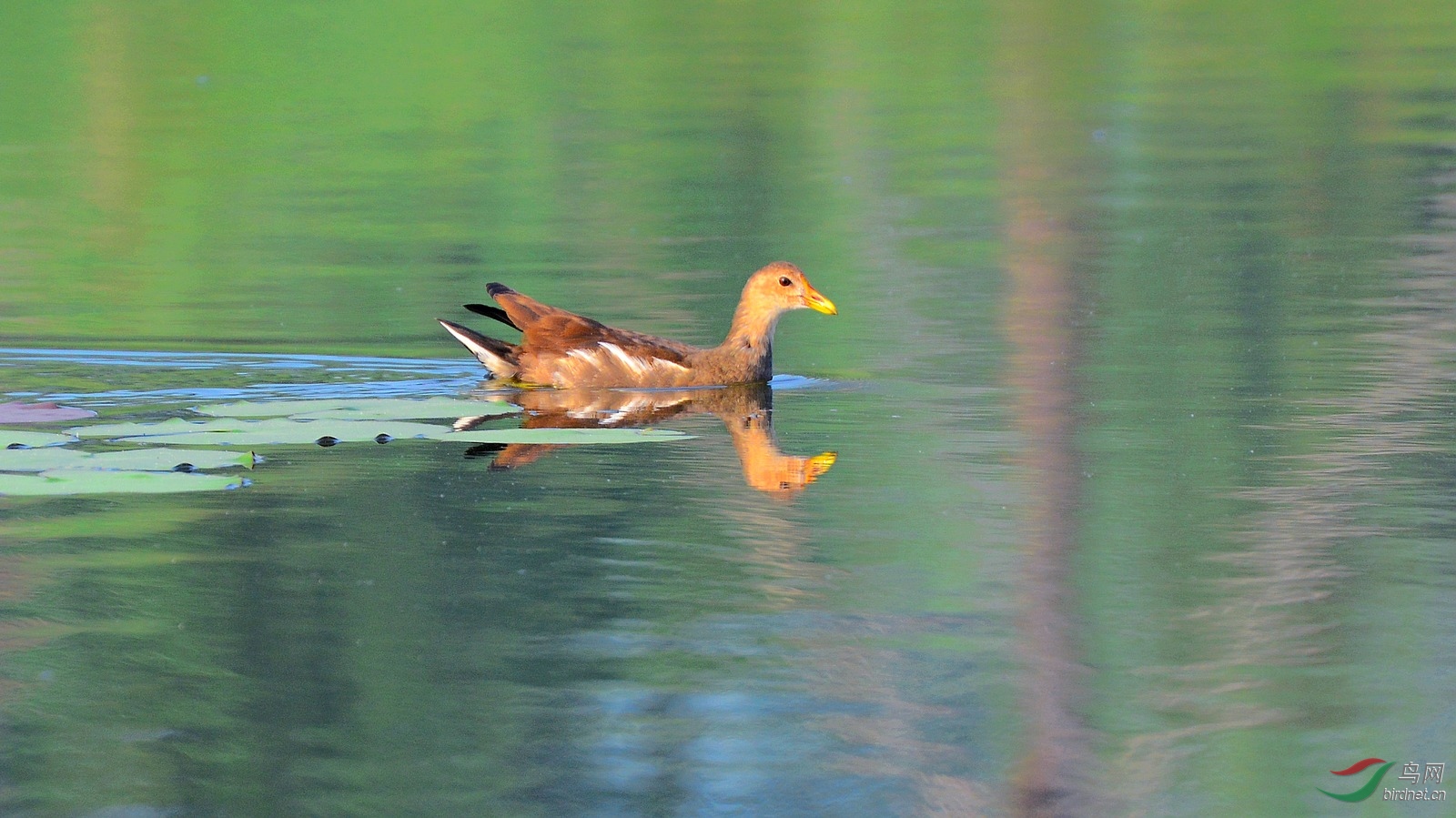 DSC_7419.JPG