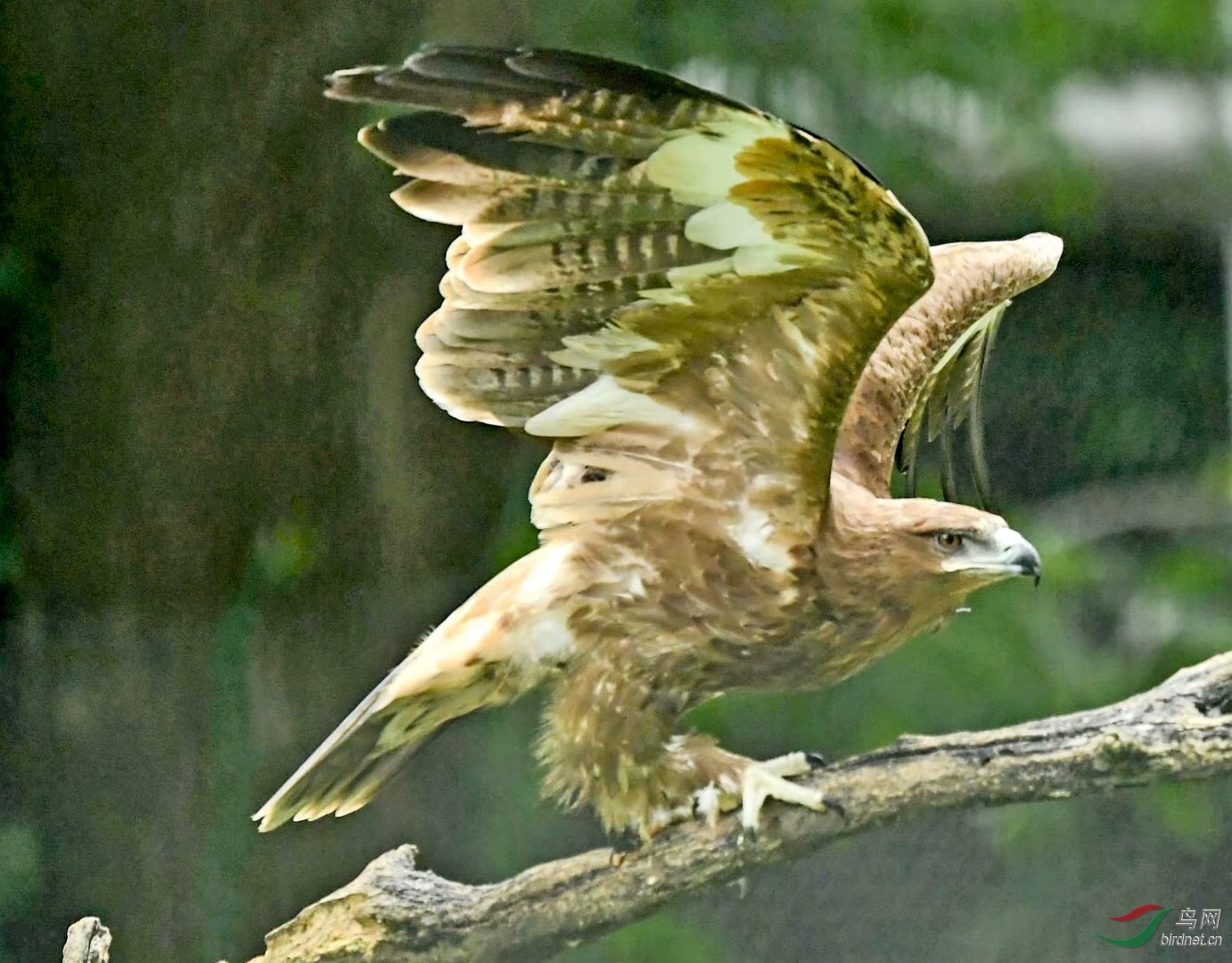 D3D914E3-839B-44D1-89CF-06EFE04C56C0.jpeg