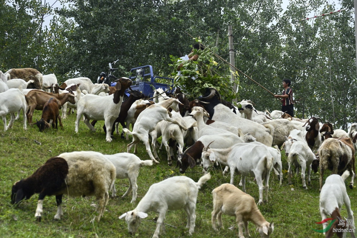 ���� _1082777.jpg