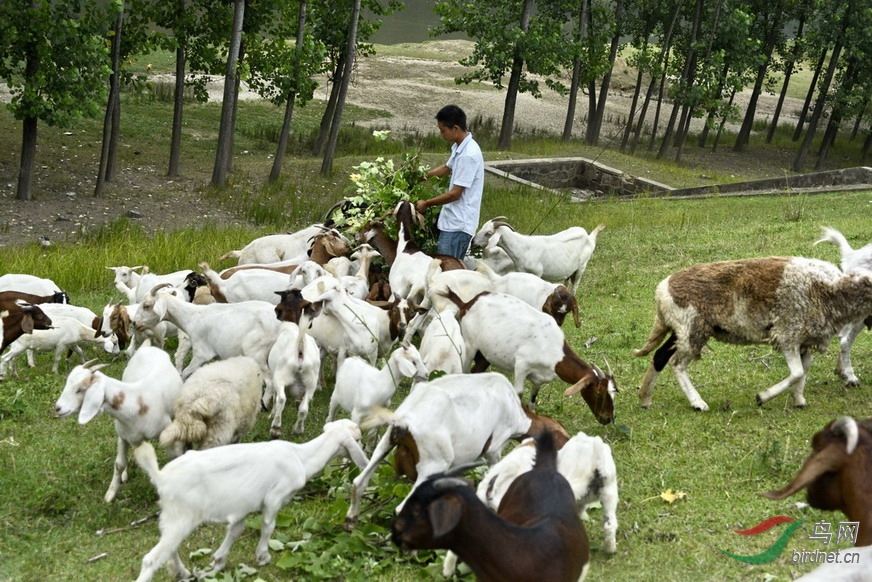 ���� _1082748.jpg