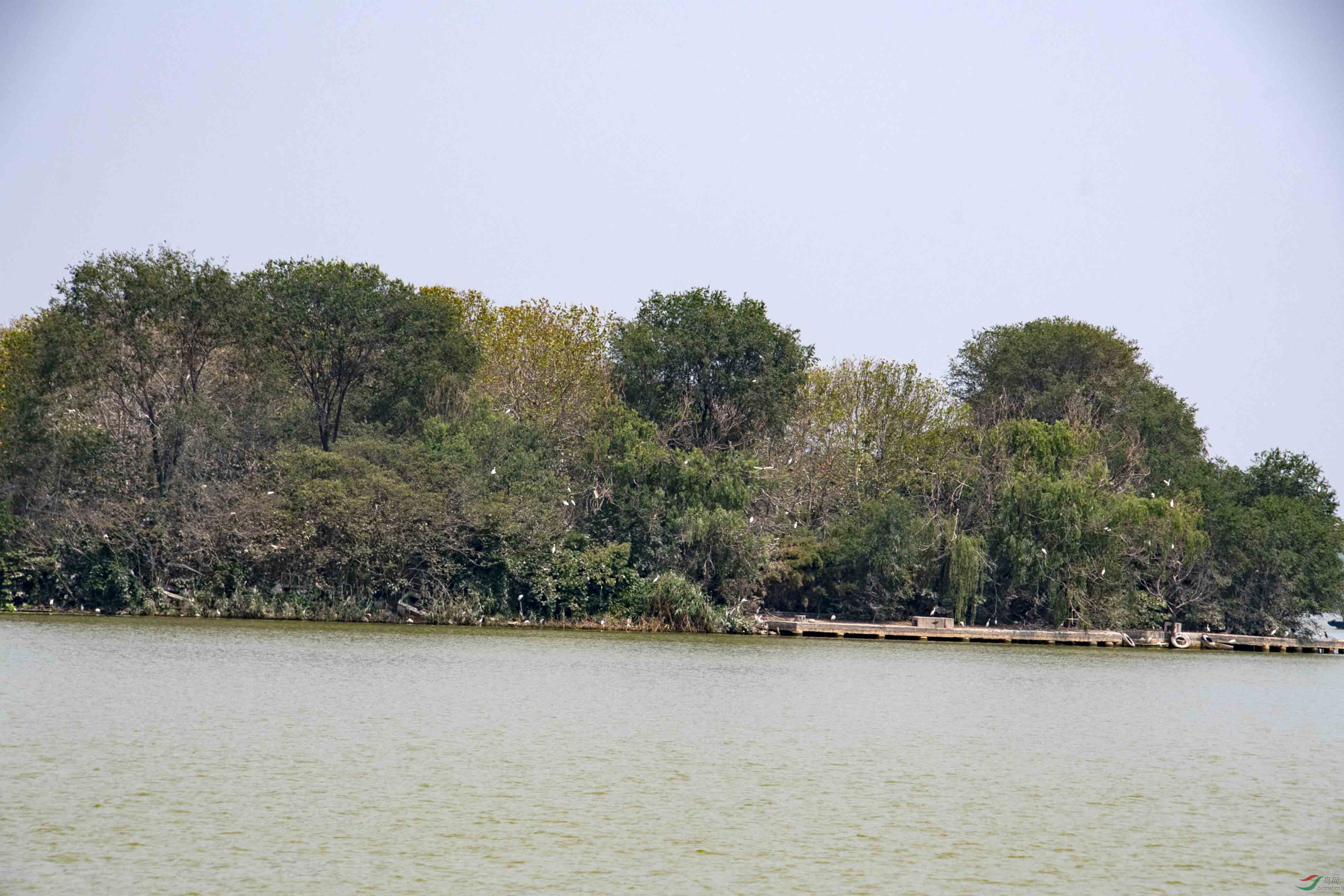 D50_4882.jpg