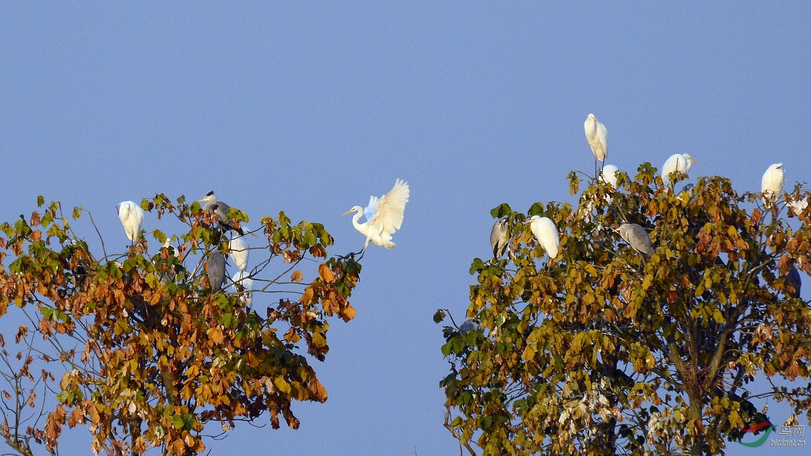 DSC_4396.JPG