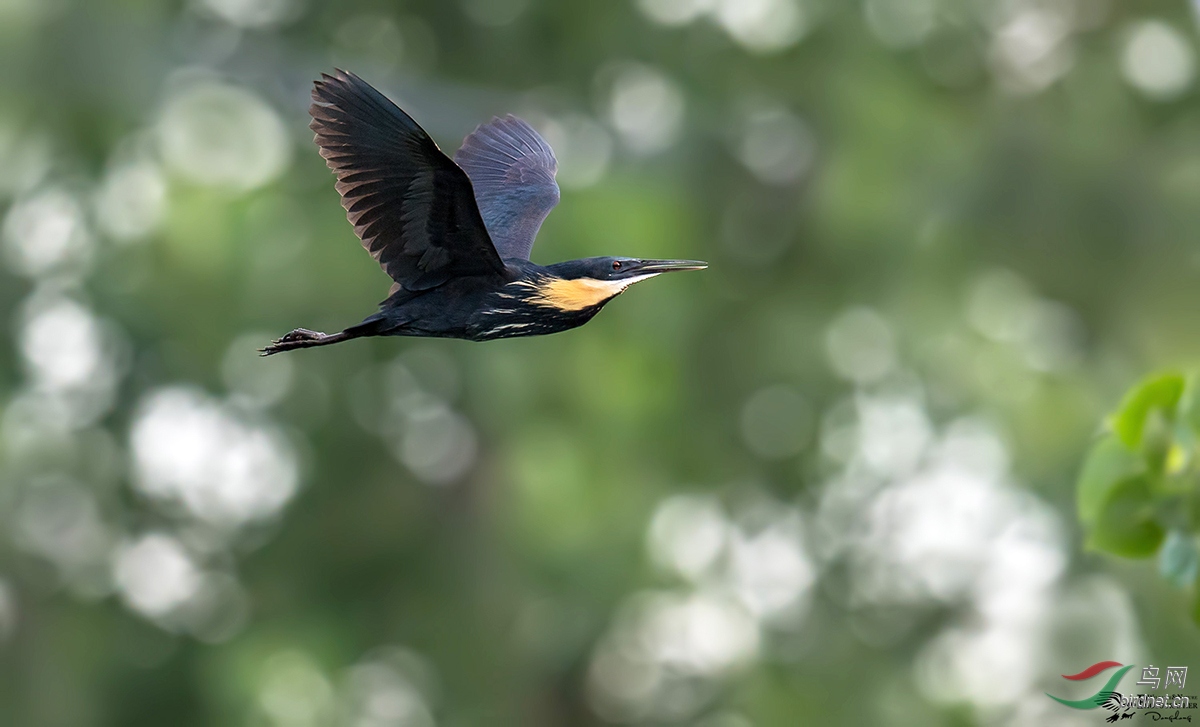 DSC_0713.jpg