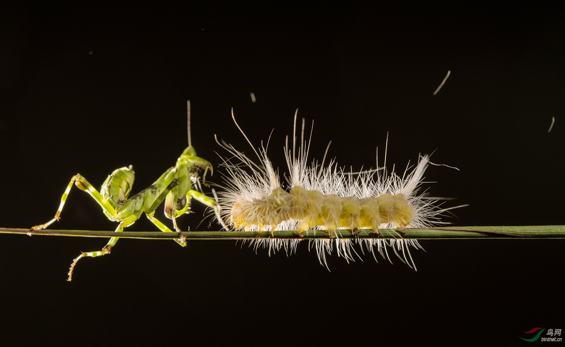 ͭ��-156.�˴� ���� 13597916995.jpg