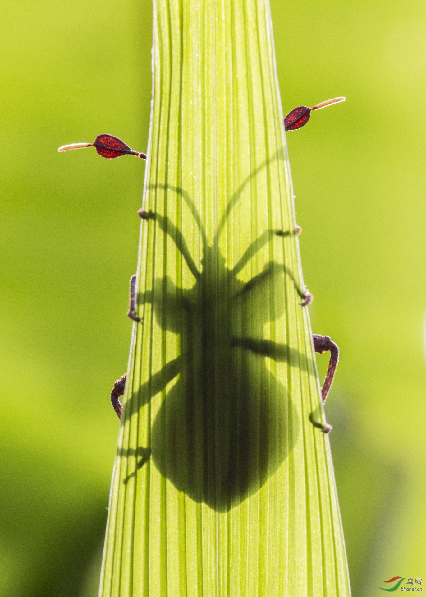 ���-163.��Ӱ ���� 13597916995.jpg