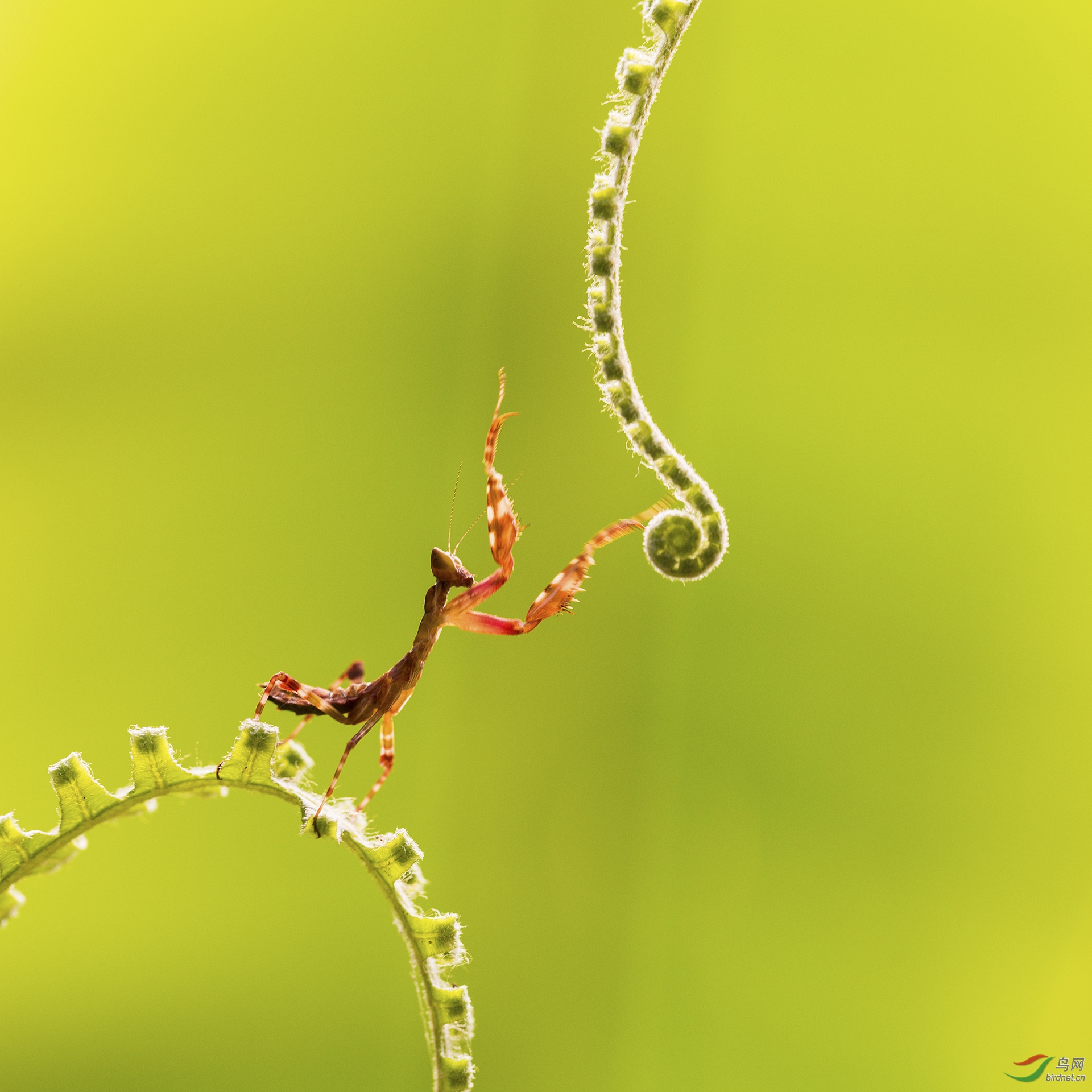 ����OK-159.�� ���� 13597916995.jpg