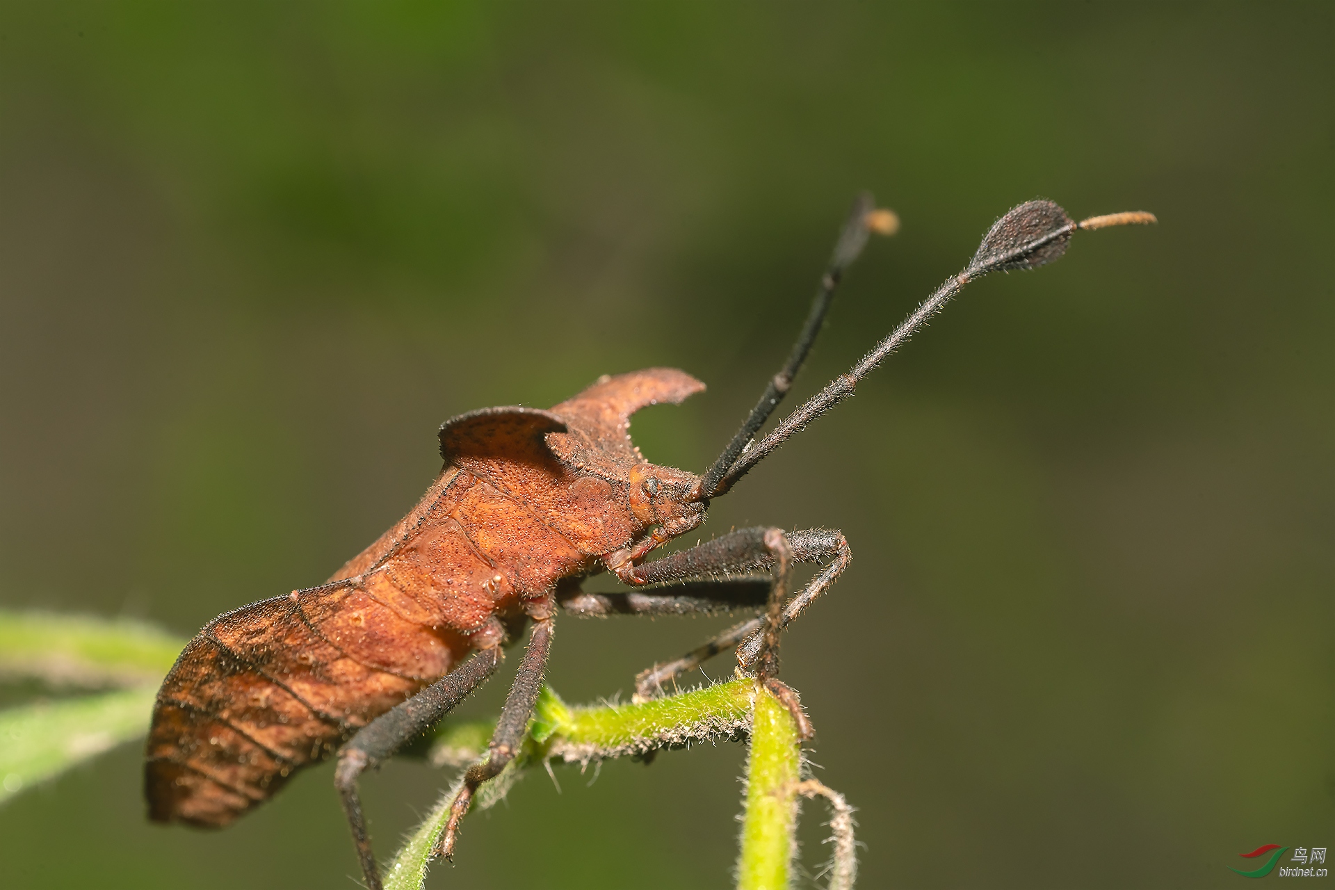 ��Χ-031._DSC0705-1�غ� 4 ��ȫ��  ���� ��ط�ӥ �绰���� 13908841538��.jpg