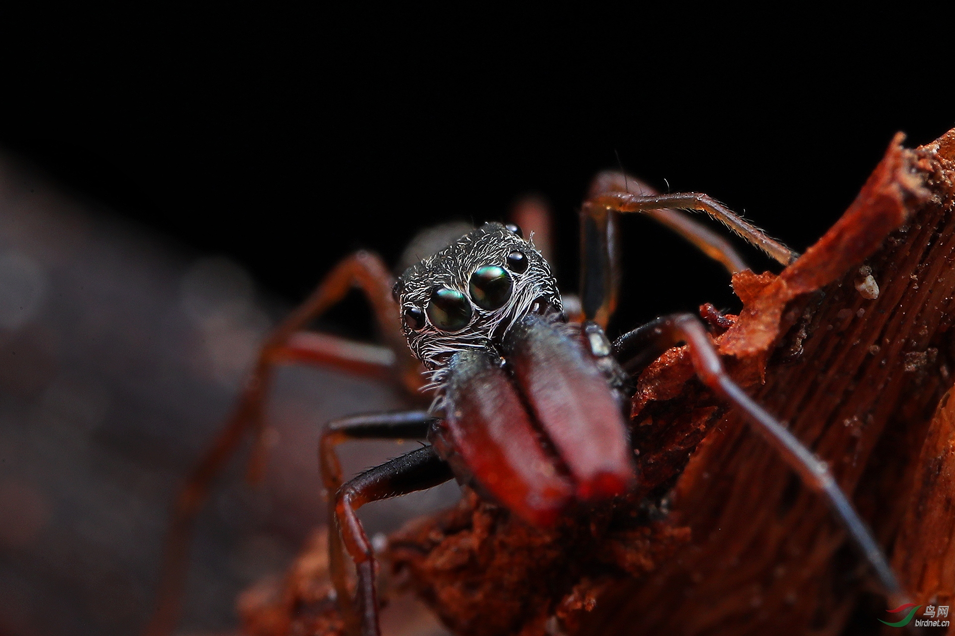 ��Χ-047.������  18008828754  ����.JPG