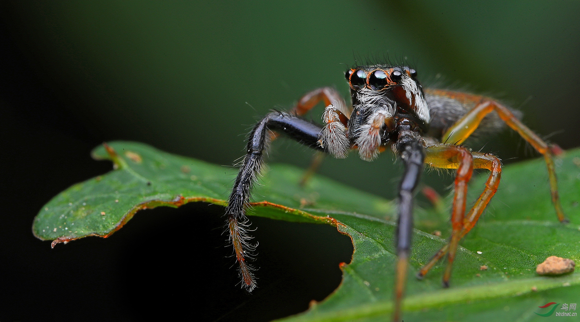 ��Χ-059.�ඦӯ  18313085964 ����.JPG