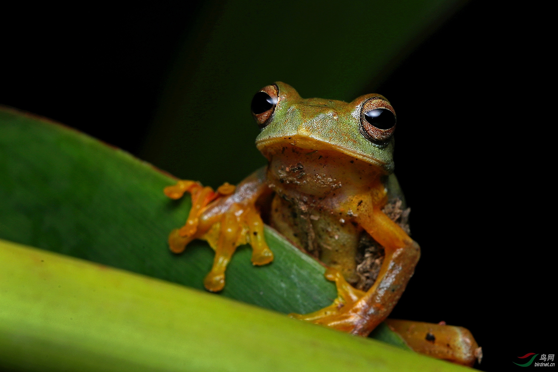 ��Χ-060.�ඦӯ  18313085964 ��������.JPG