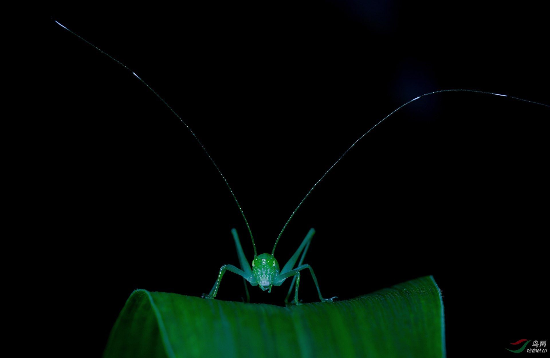 ��Χ-066.DSC_8589����� 18787579537.JPG