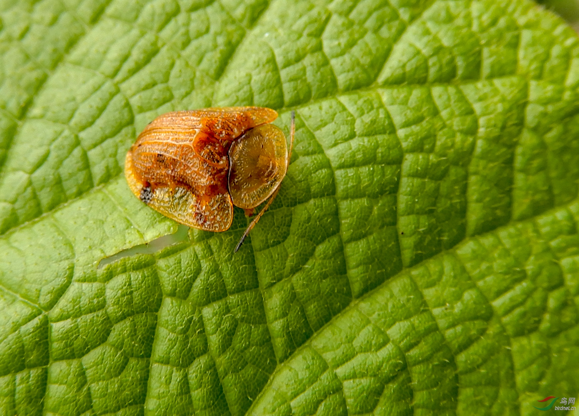 ��Χ-088.TOM-DSCN0856 ����.jpg