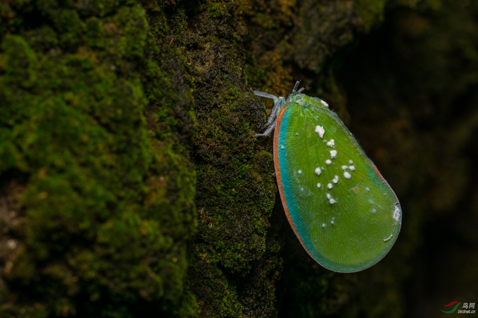 ����-018.�ܻ�ͥ15911728771 (1).JPG