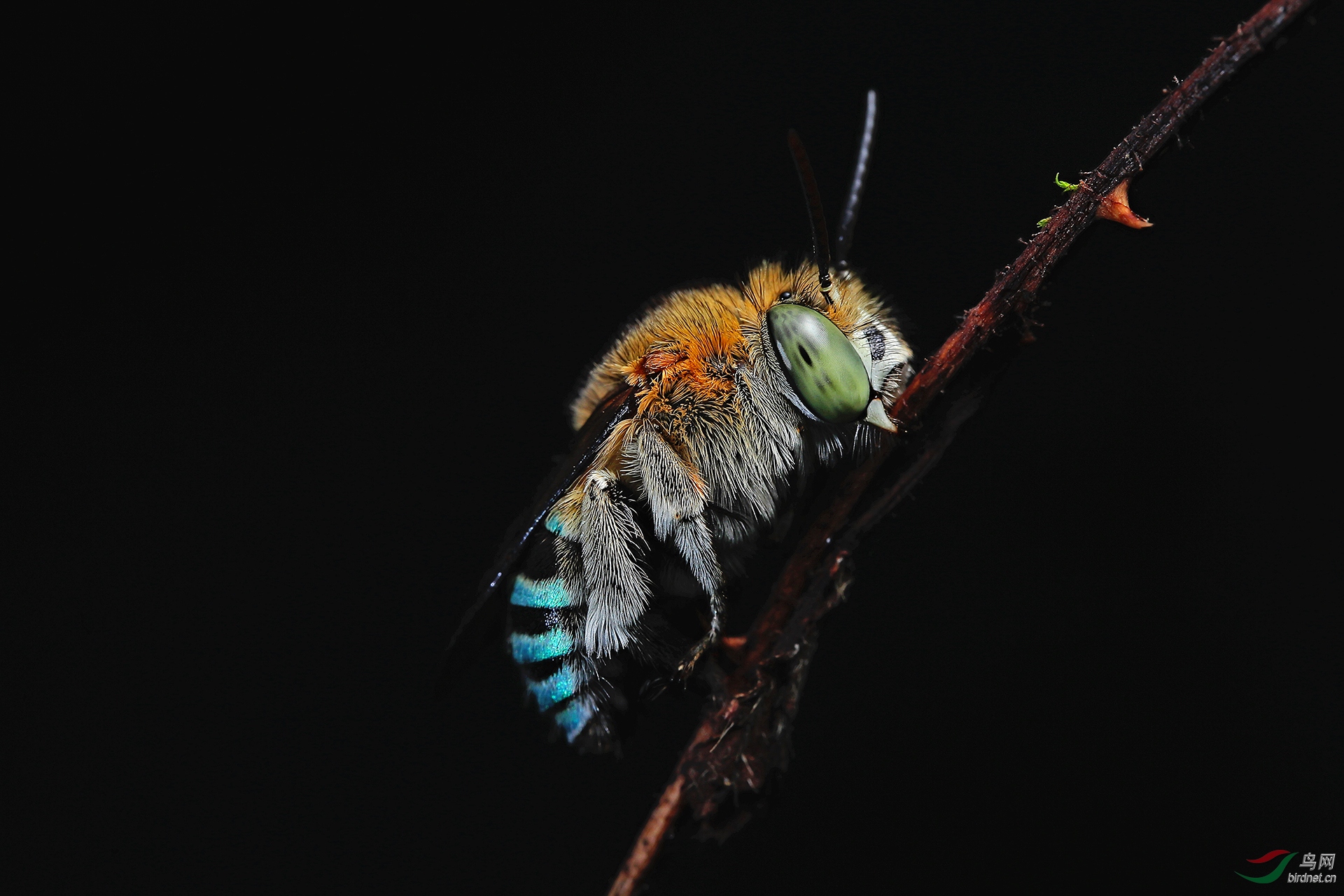 ����-048.������  18008828754 ˯�����޵��.JPG