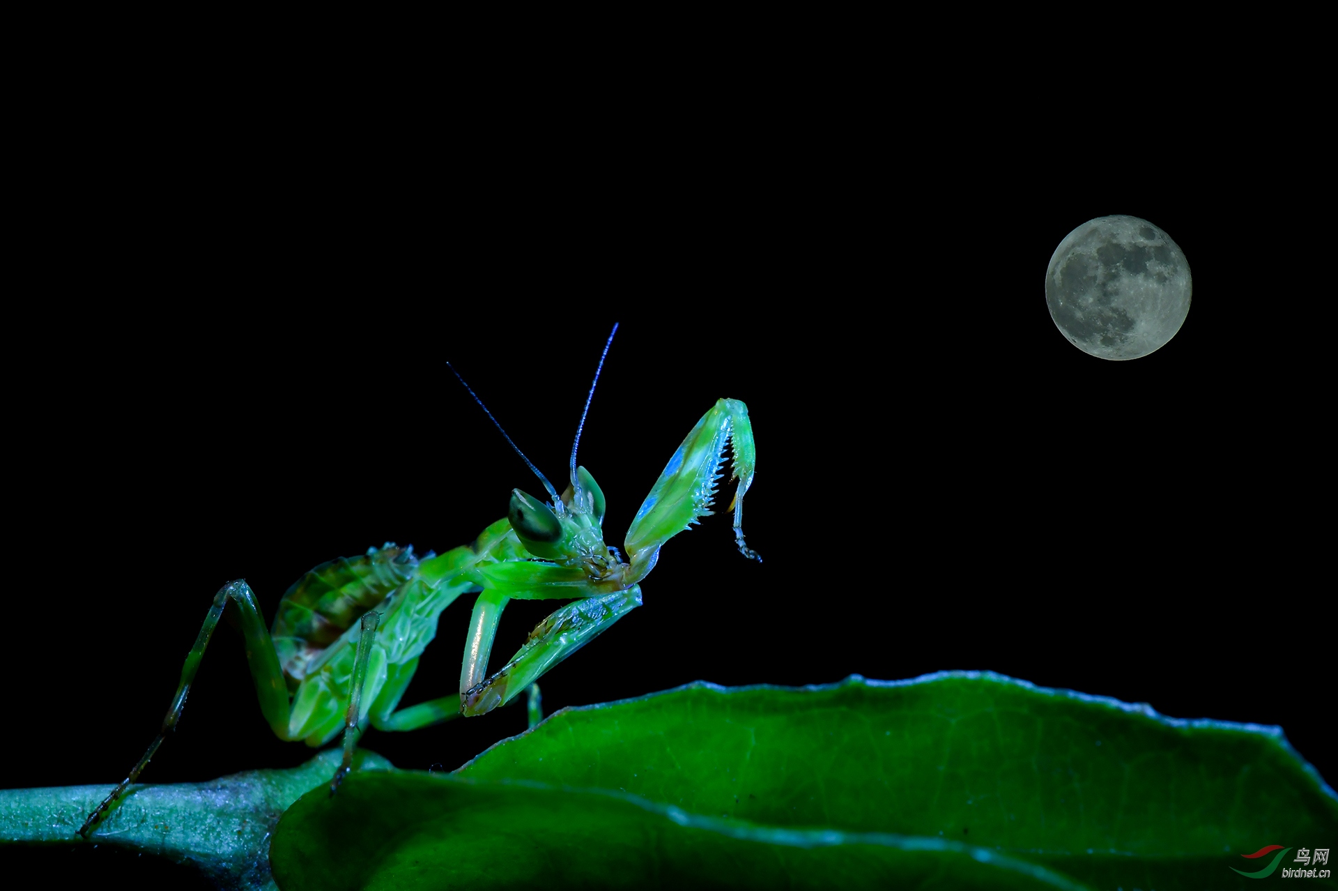 ����-071.DSC_8298����� 18787579537.JPG