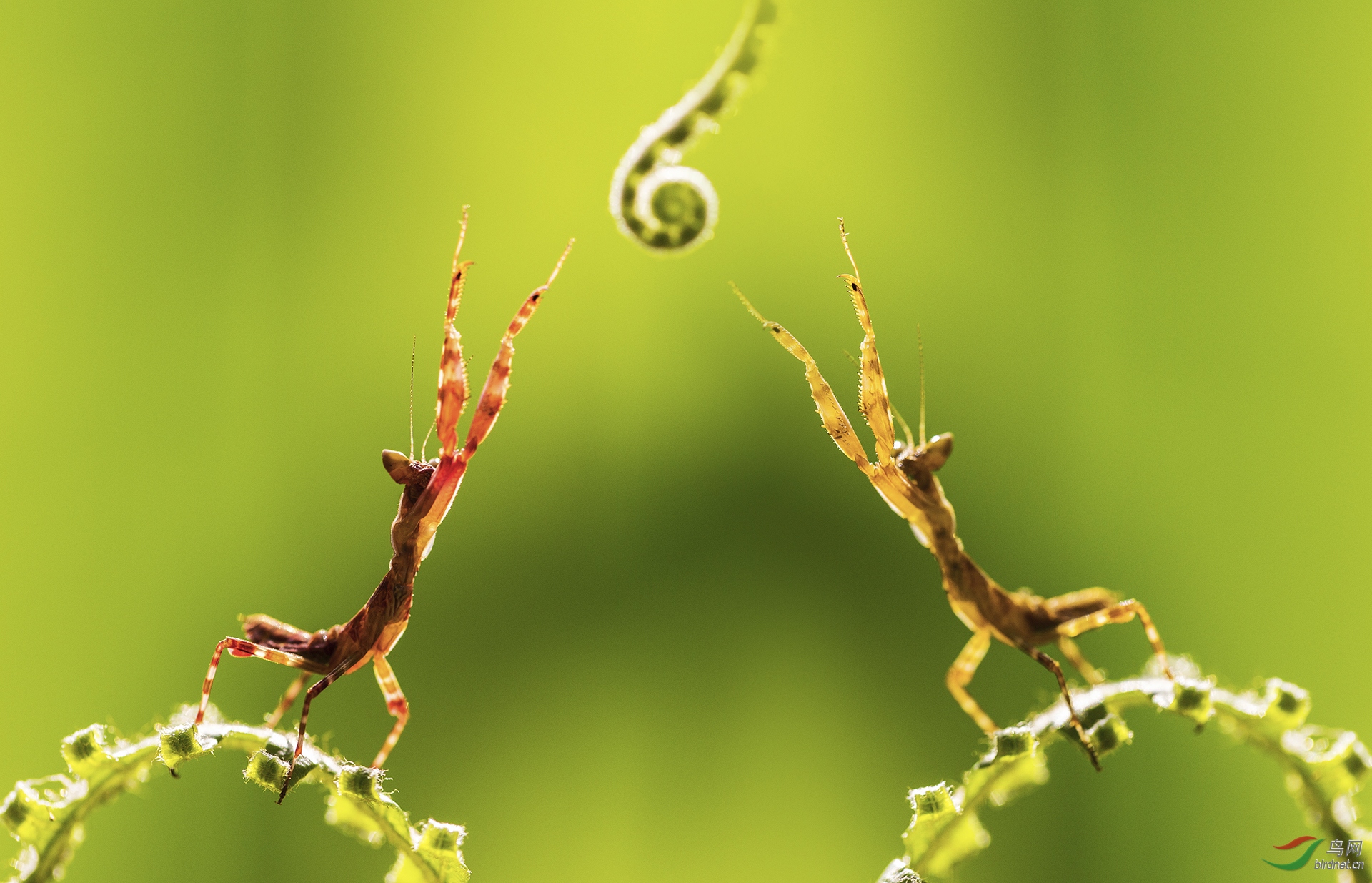 ����-151.����Ϸ�� ���� 13597916995.jpg