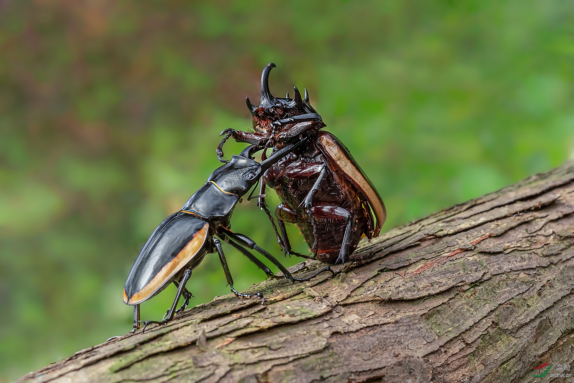 ���-045.����-��ѩ��8904381277-������ (1).jpg