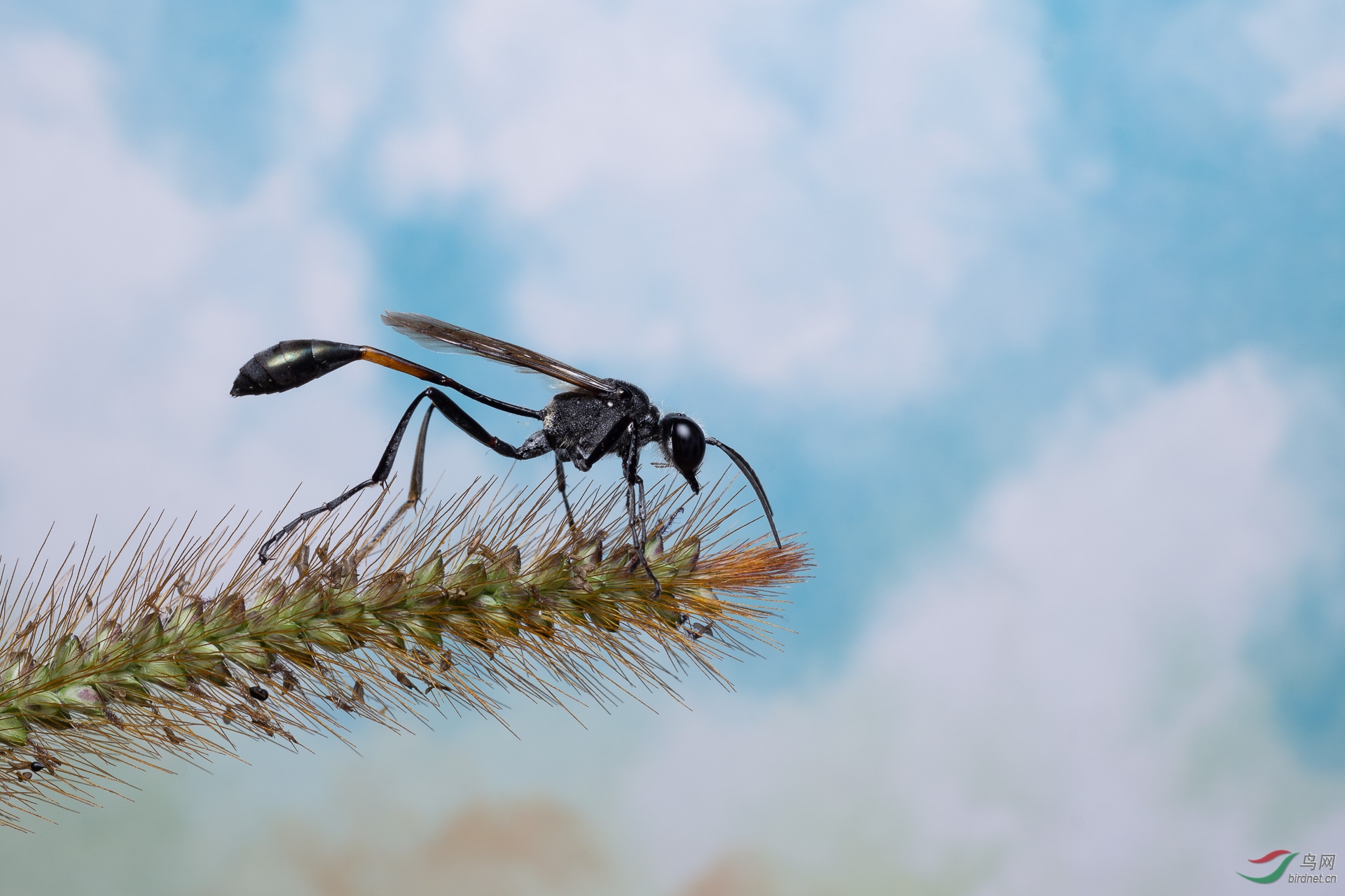 ����-019.�ܻ�ͥ15911728771 (2).JPG