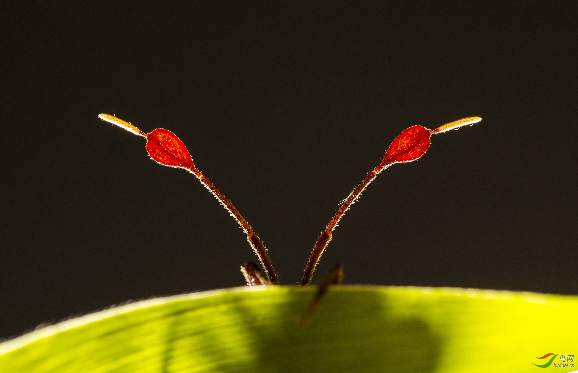 ����-155.���� ���� 13597916995.jpg