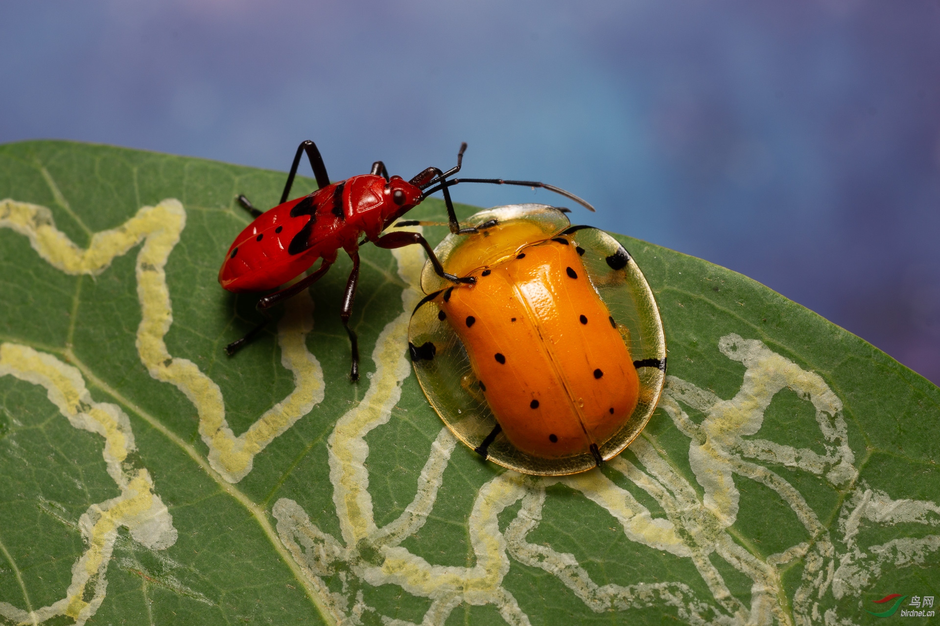 ����ok-018.�ܻ�ͥ15911728771 (1).JPG