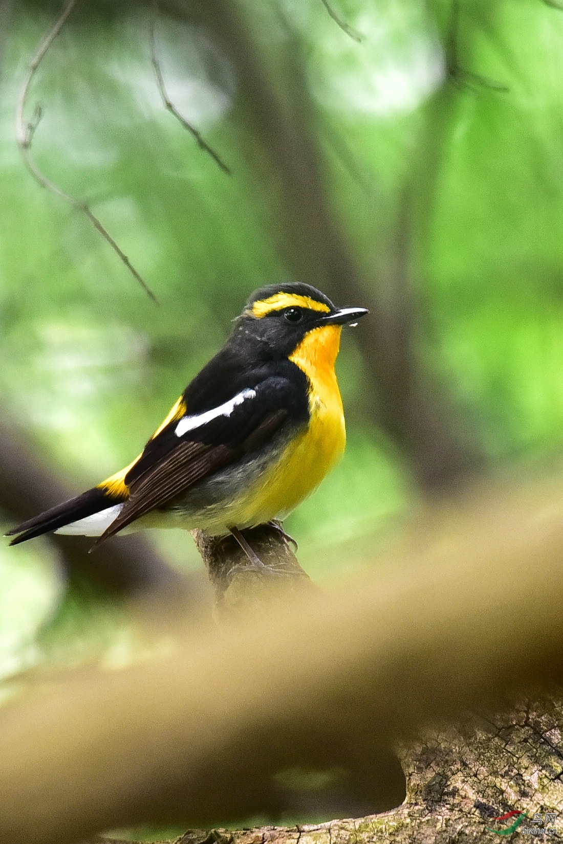 DSC_0545.JPG