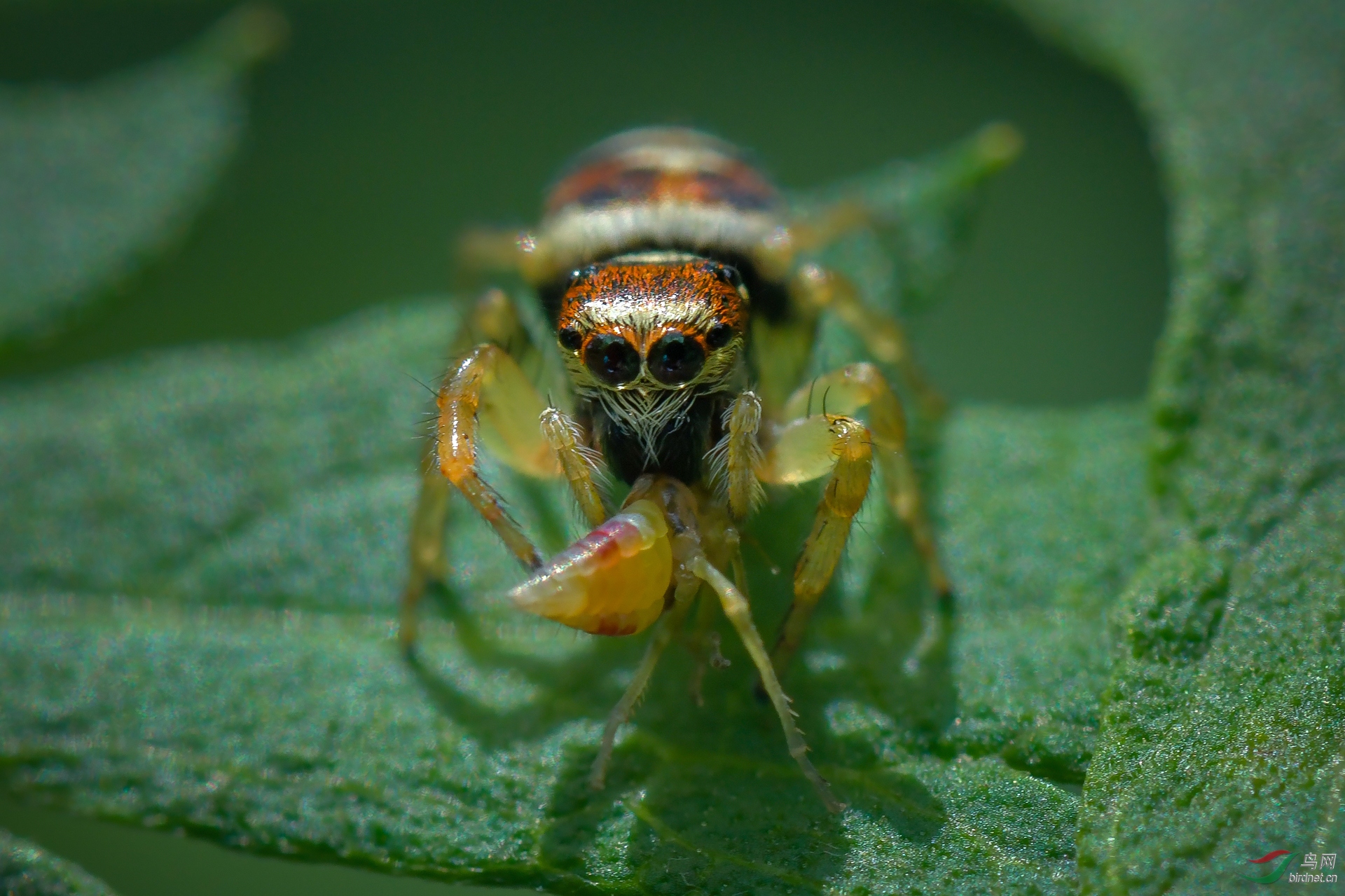 ��Χ-016.����13887808869 (1).jpg