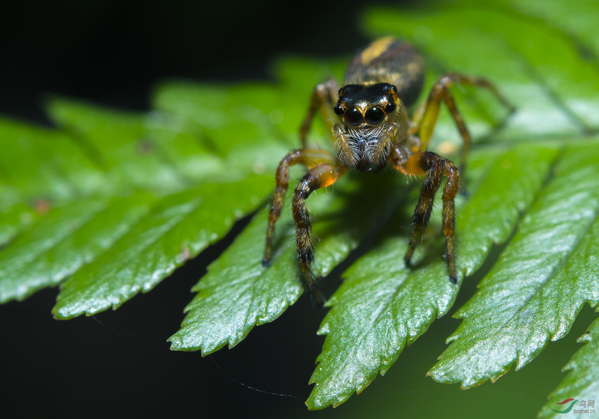 ��Χ-064.DSC_3348� 18725261158.JPG