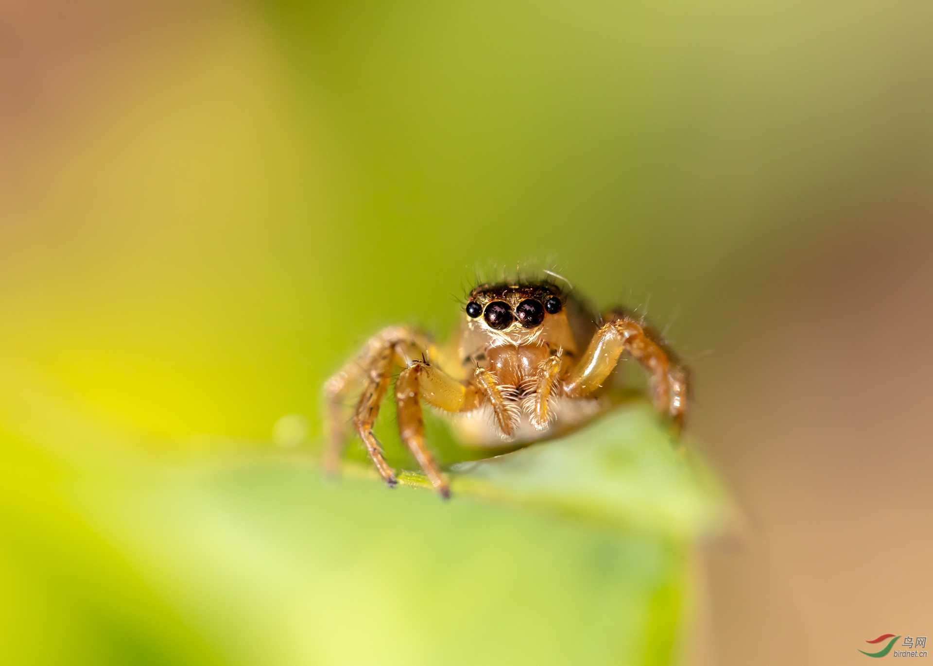 ��Χ-077.034A0112 ����.jpg