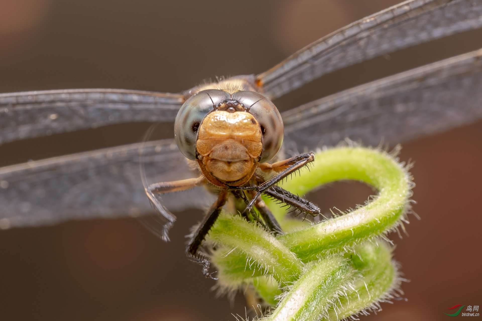 ��Χ-119.�ƴ�18687127311 (4).JPG