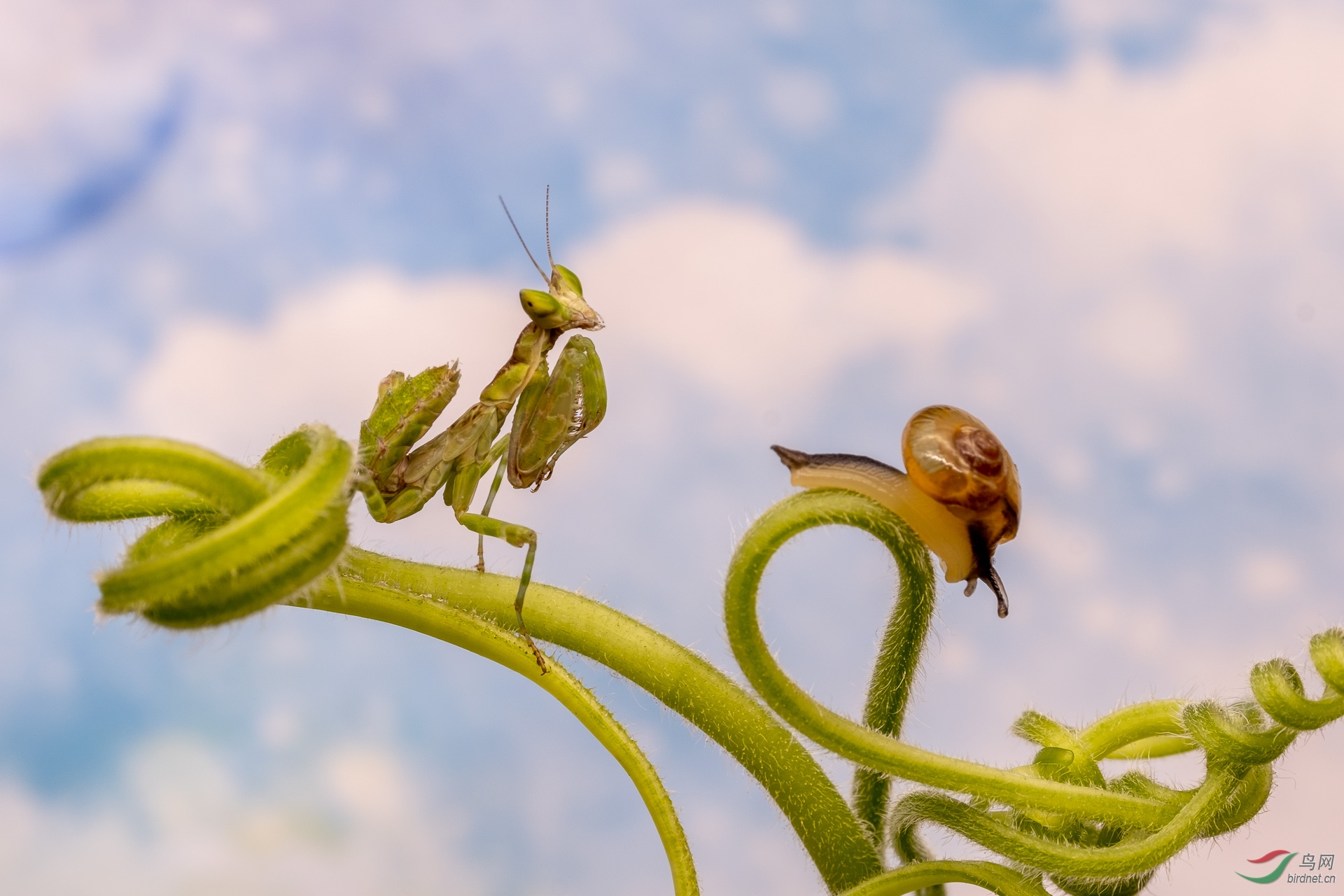 ��Χ-117.�ƴ�18687127311 (2).JPG