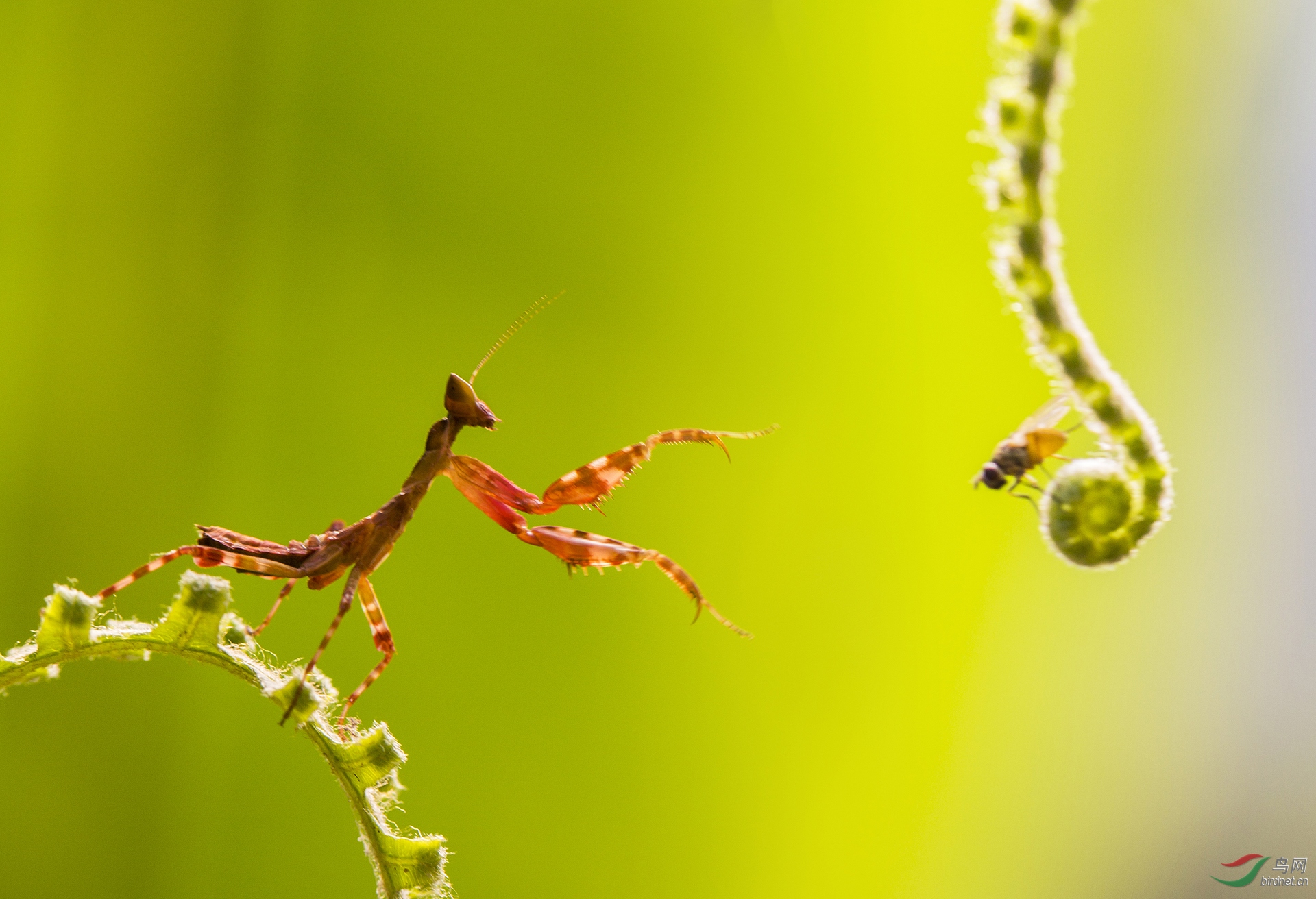 ��Χ-156.�ջ� ���� 13597916995.jpg