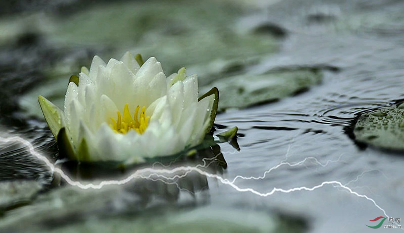 2FF9B5C3-3AC0-4C7C-82A7-FD23B6A66D65.jpeg