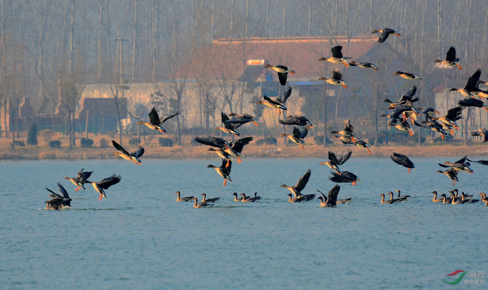 ����С��ǰ   DSC_9013.JPG