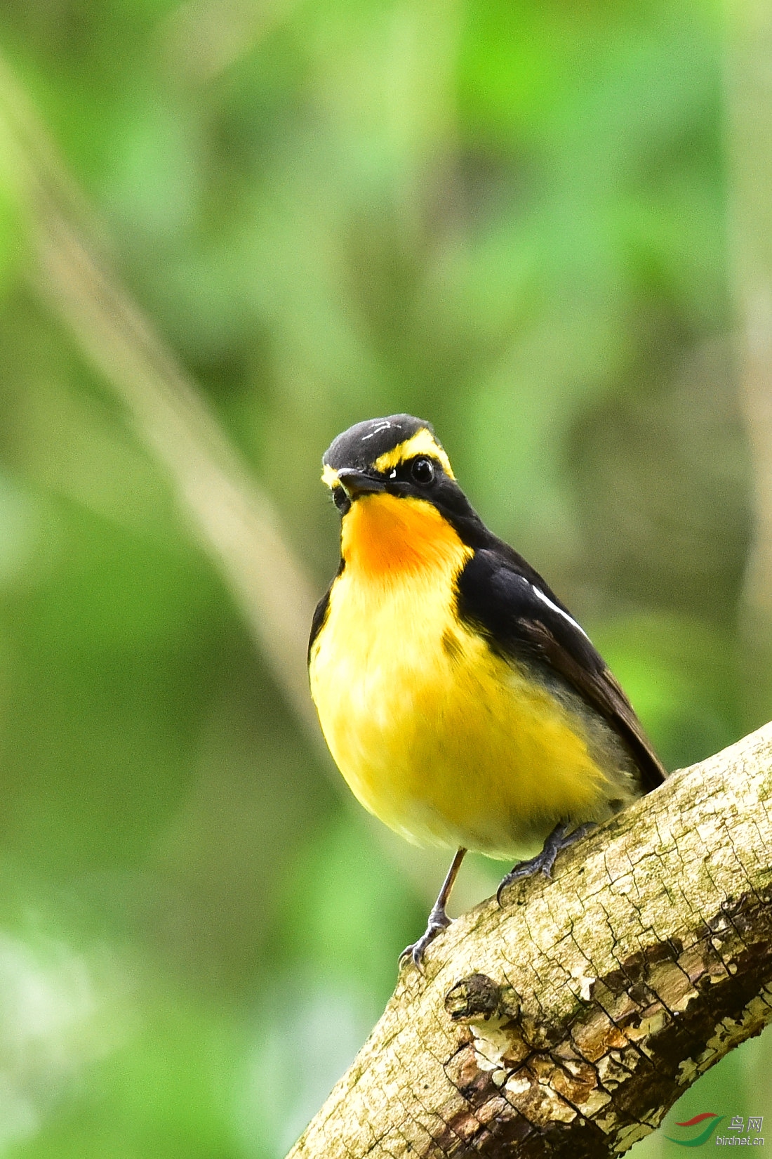 DSC_0550.JPG