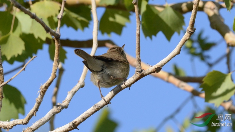 DSC_6572.JPG