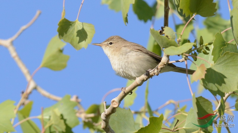DSC_6578.JPG