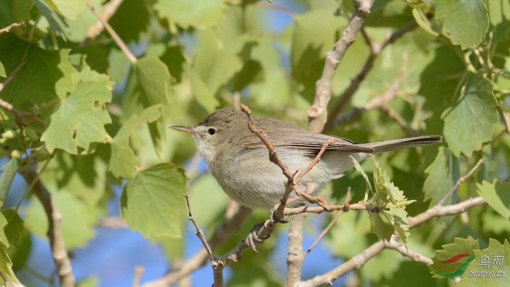DSC_6571.JPG