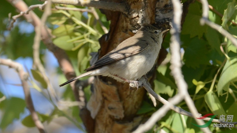 DSC_6565.JPG