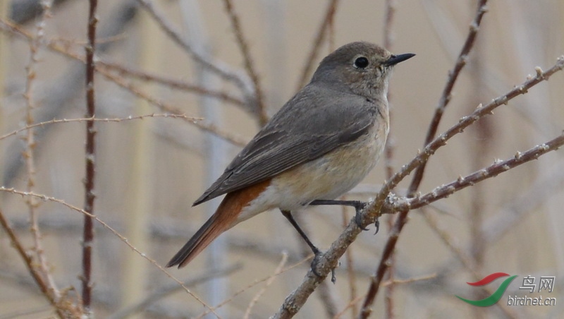 DSC_6407.JPG