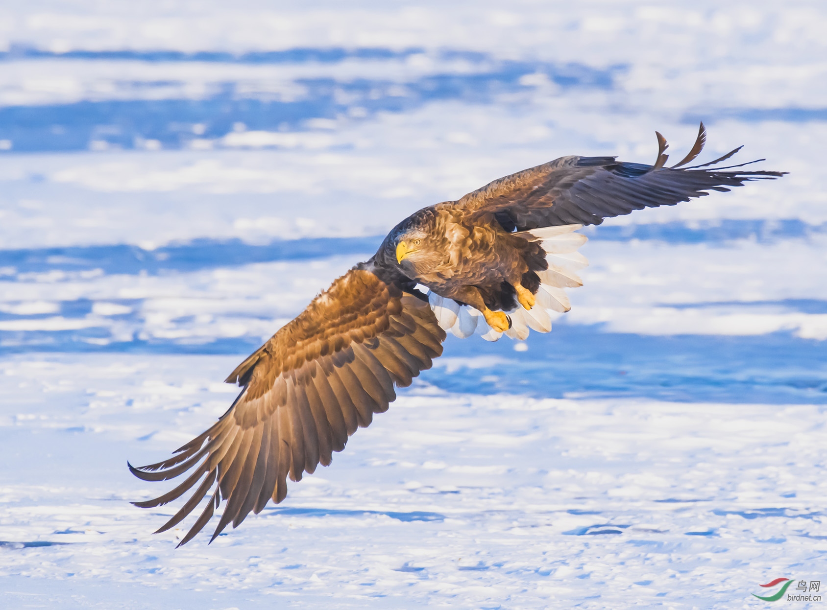 ��β����