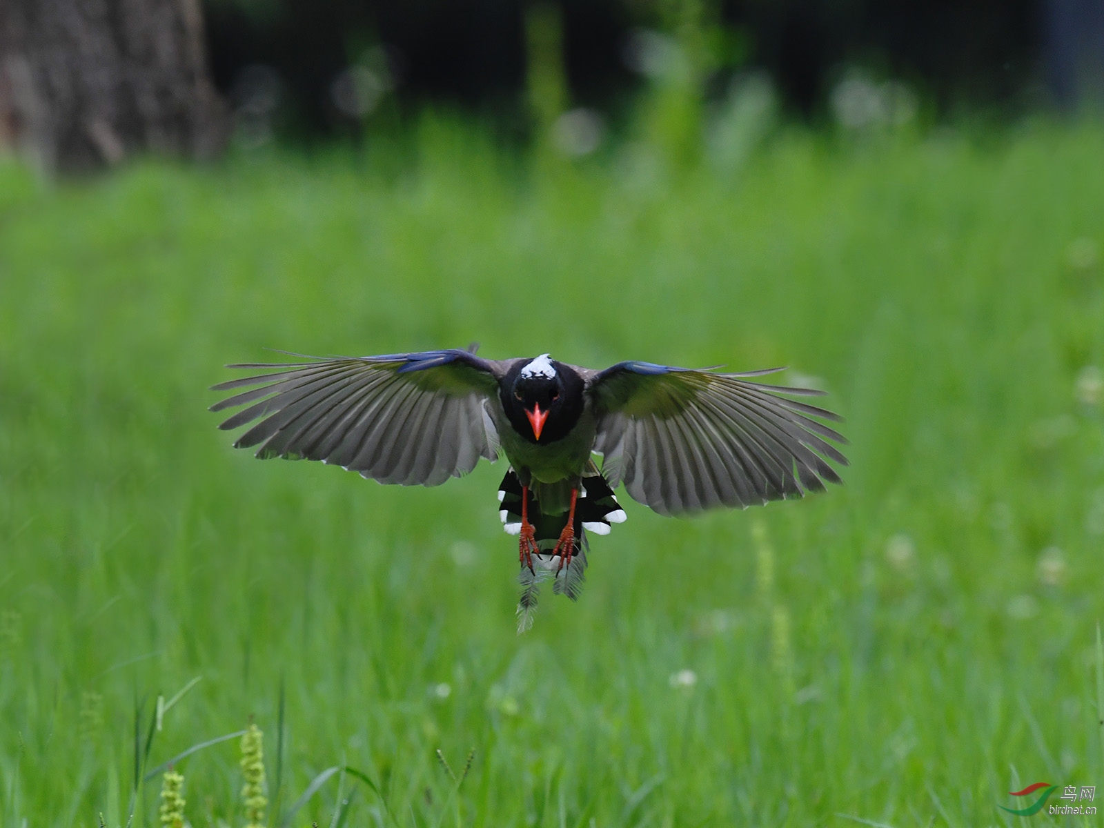 DSC_4513p.jpg