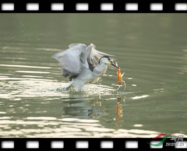 ���� 301.jpg