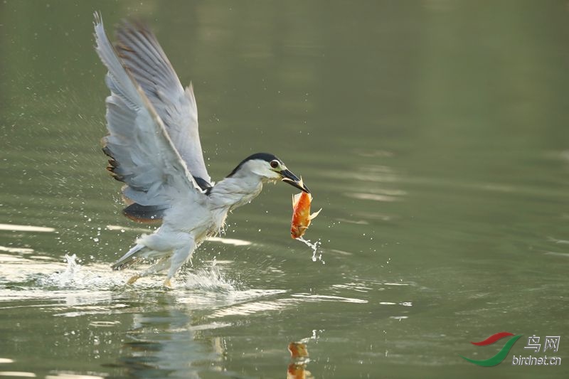 ���� 303.jpg