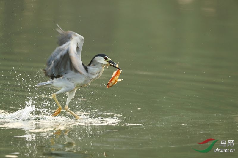 ���� 305.jpg