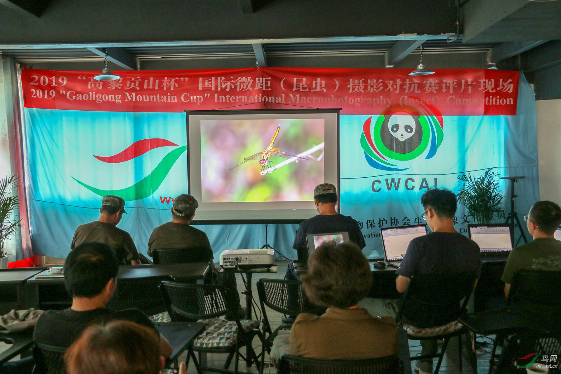 ΢��ͼƬ_20190724094312 ��������.jpg