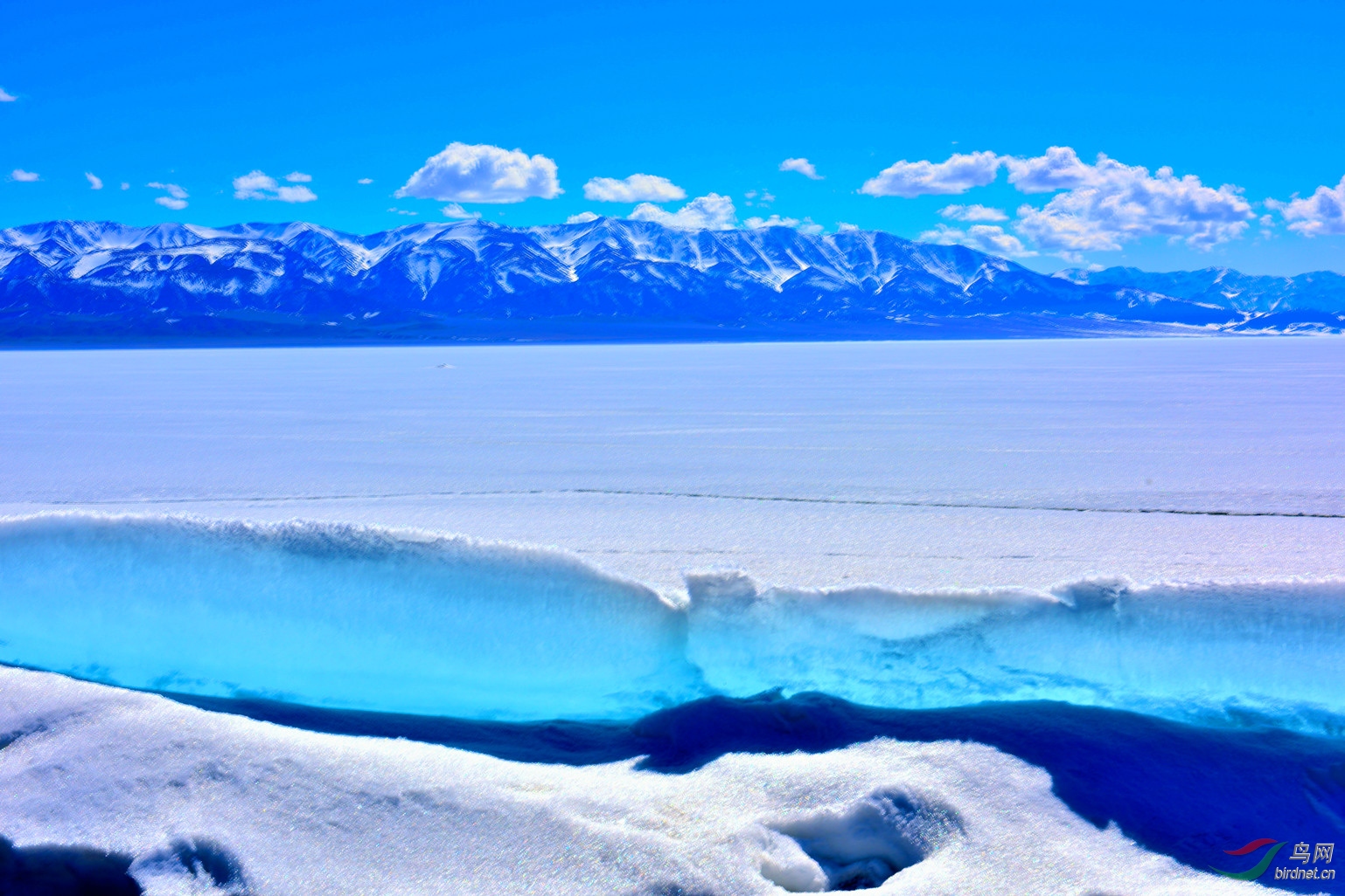 赛里木湖的蓝冰