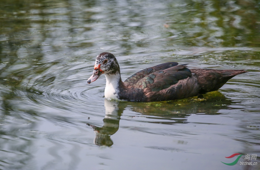 916A8918  01_���� ��Ѽ��Ѽ.jpg